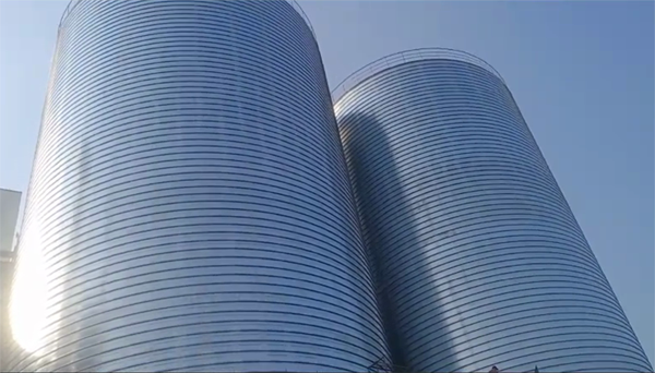 滨湖2座混凝土高架卷板仓